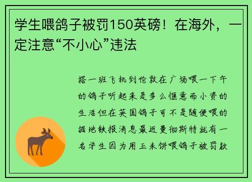 学生喂鸽子被罚150英磅！在海外，一定注意“不小心”违法
